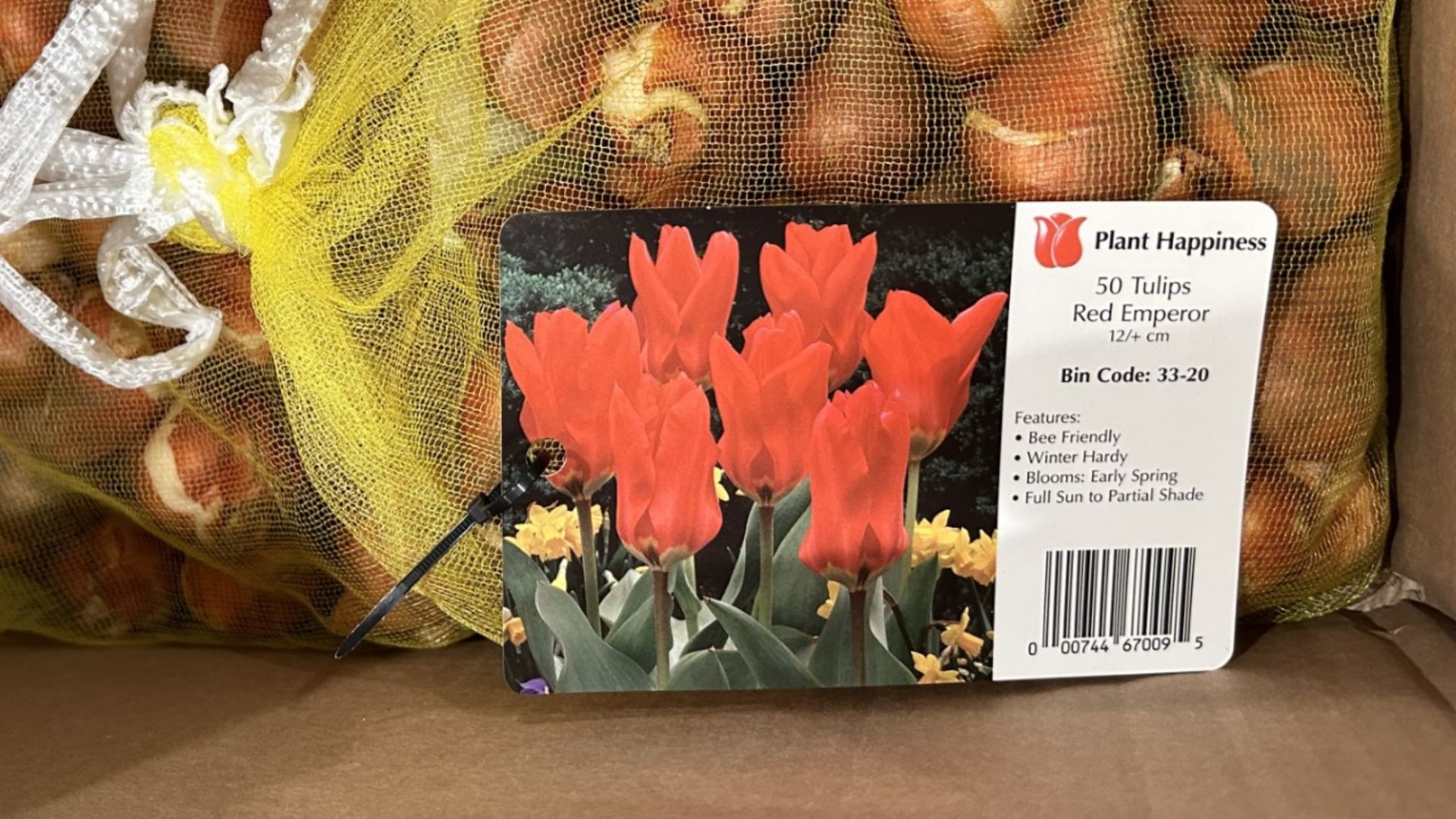 Tulip, Red Emperor (Bulb Planted)